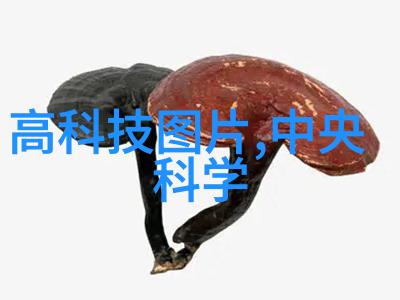 智能城市科技助力城市发展的新模式